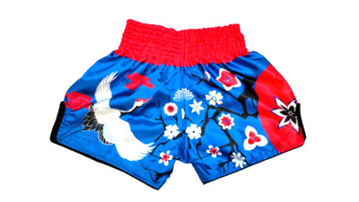 Muay Thai Shorts